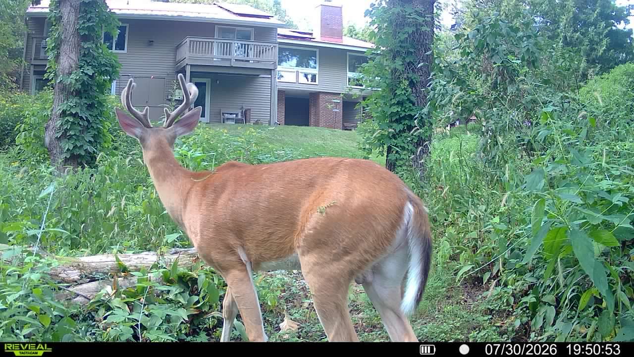 main property photo 61