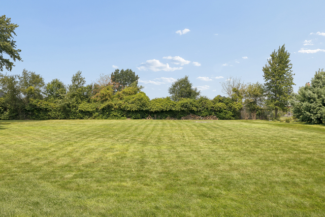 main property photo 41