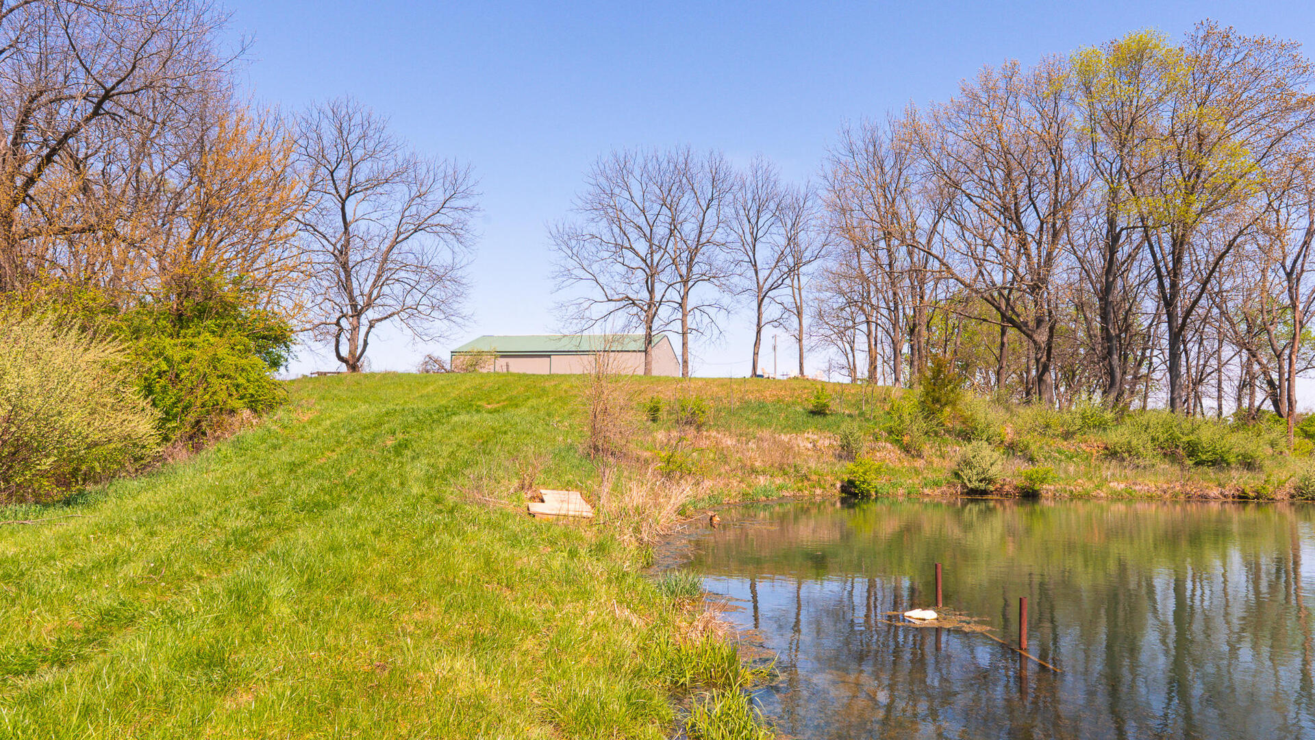 main property photo 11
