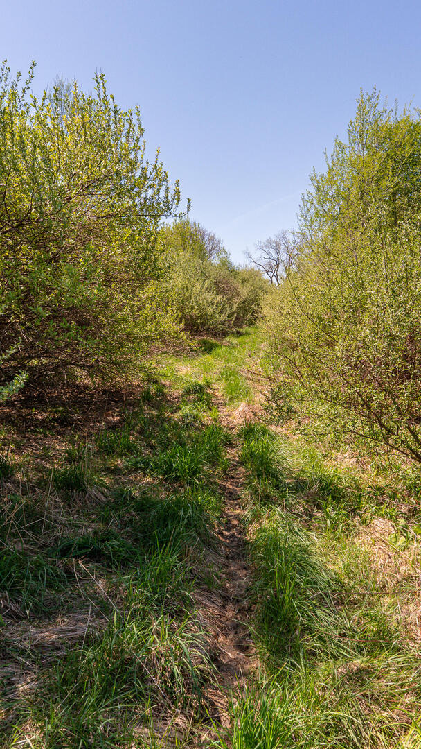 main property photo 16