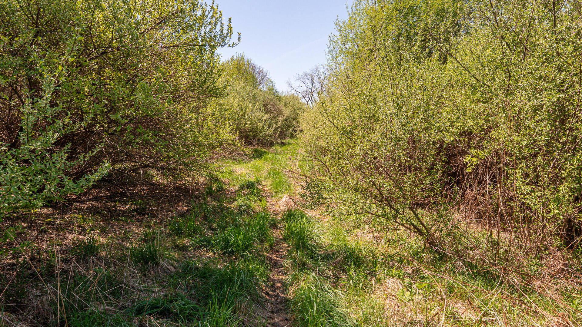 main property photo 17