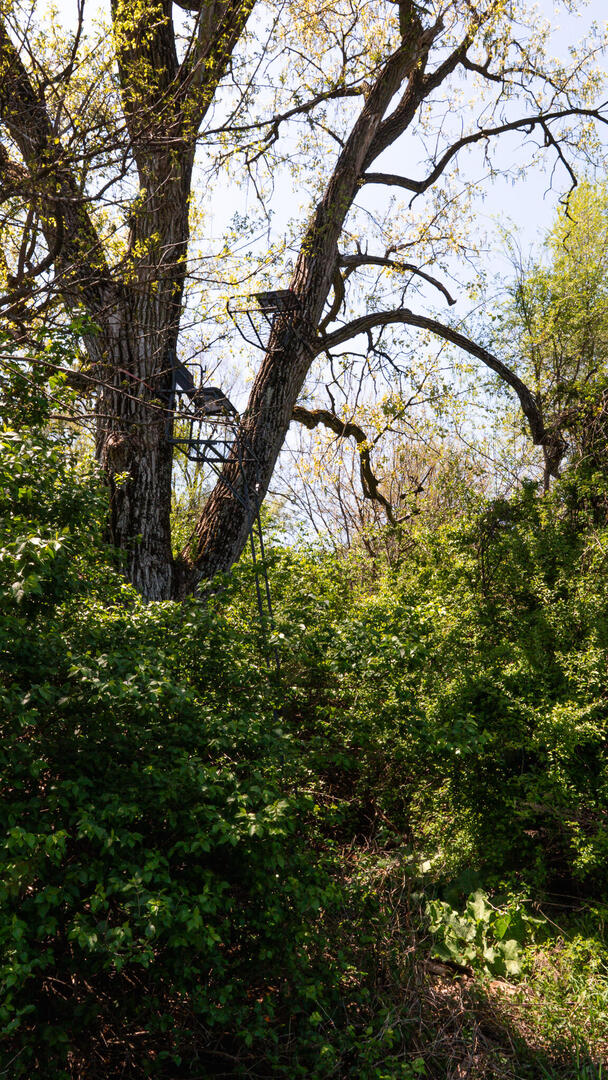 main property photo 19
