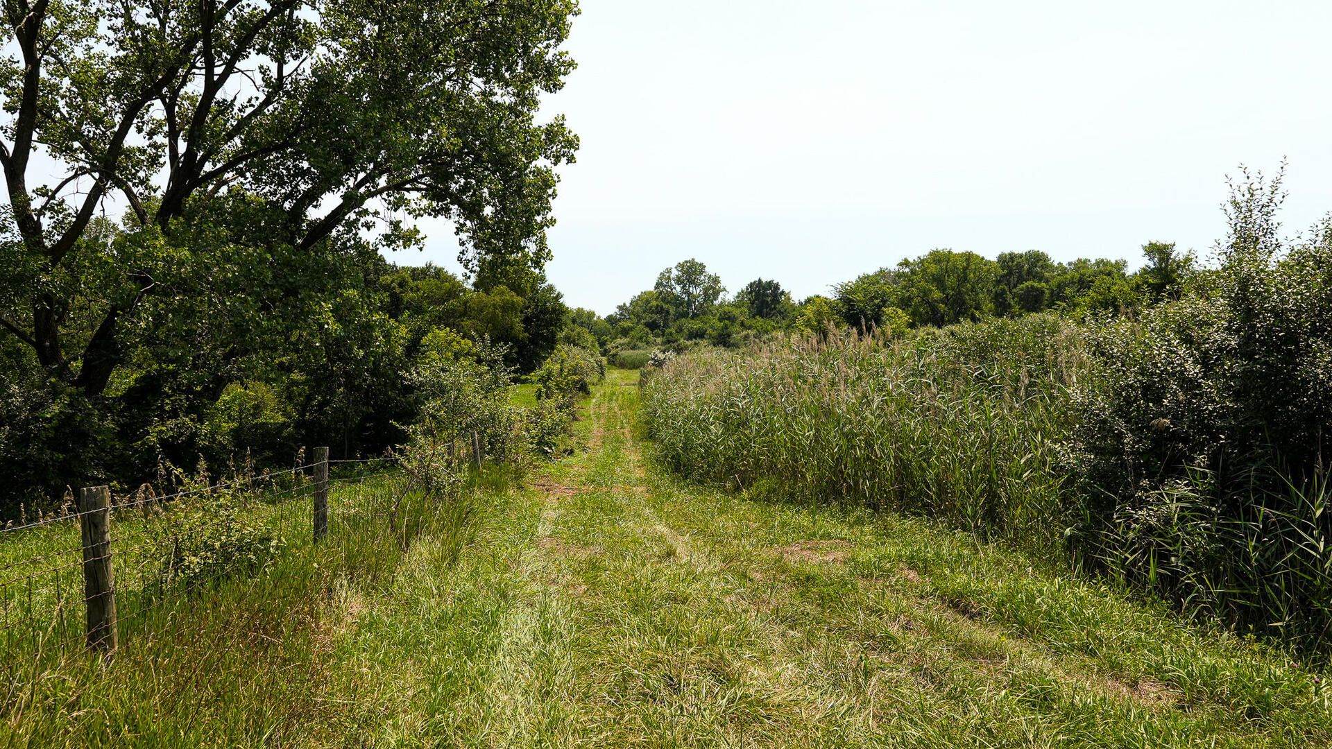main property photo 52