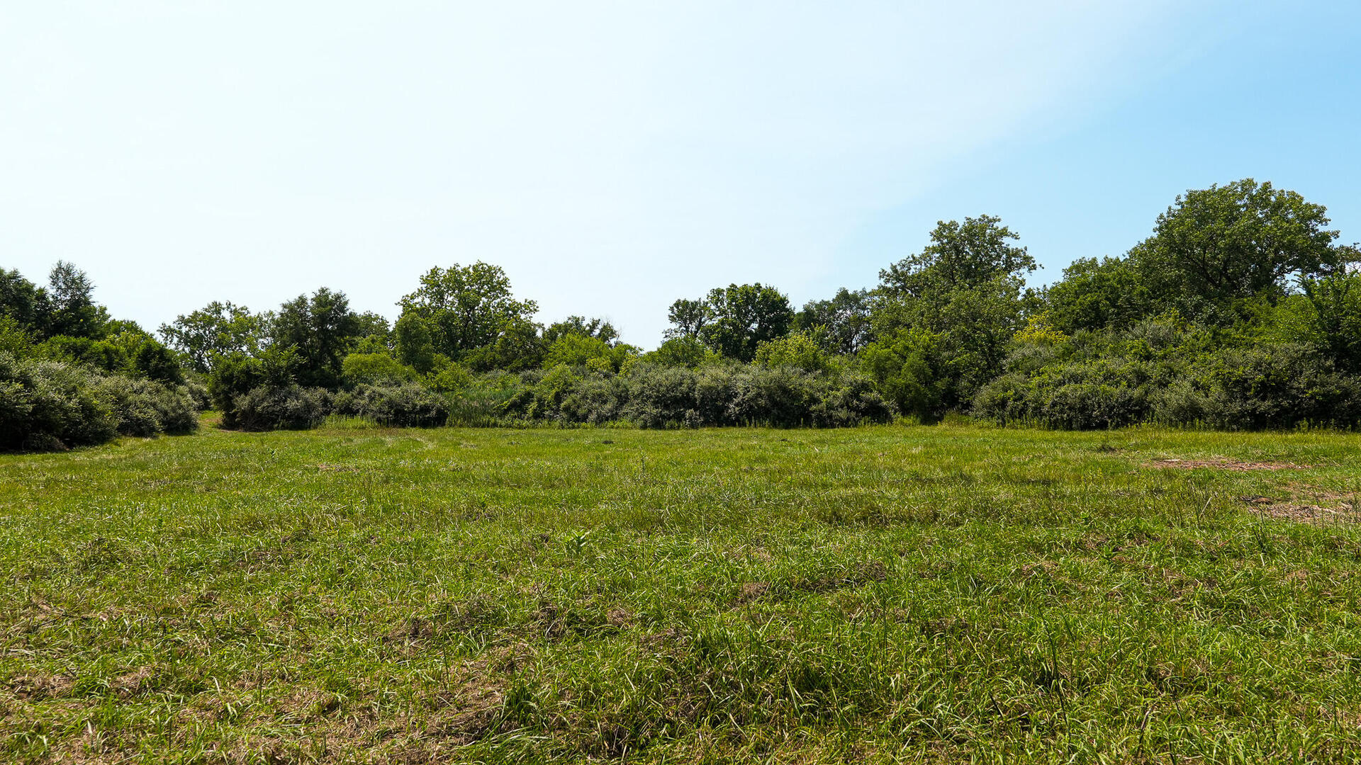 main property photo 53