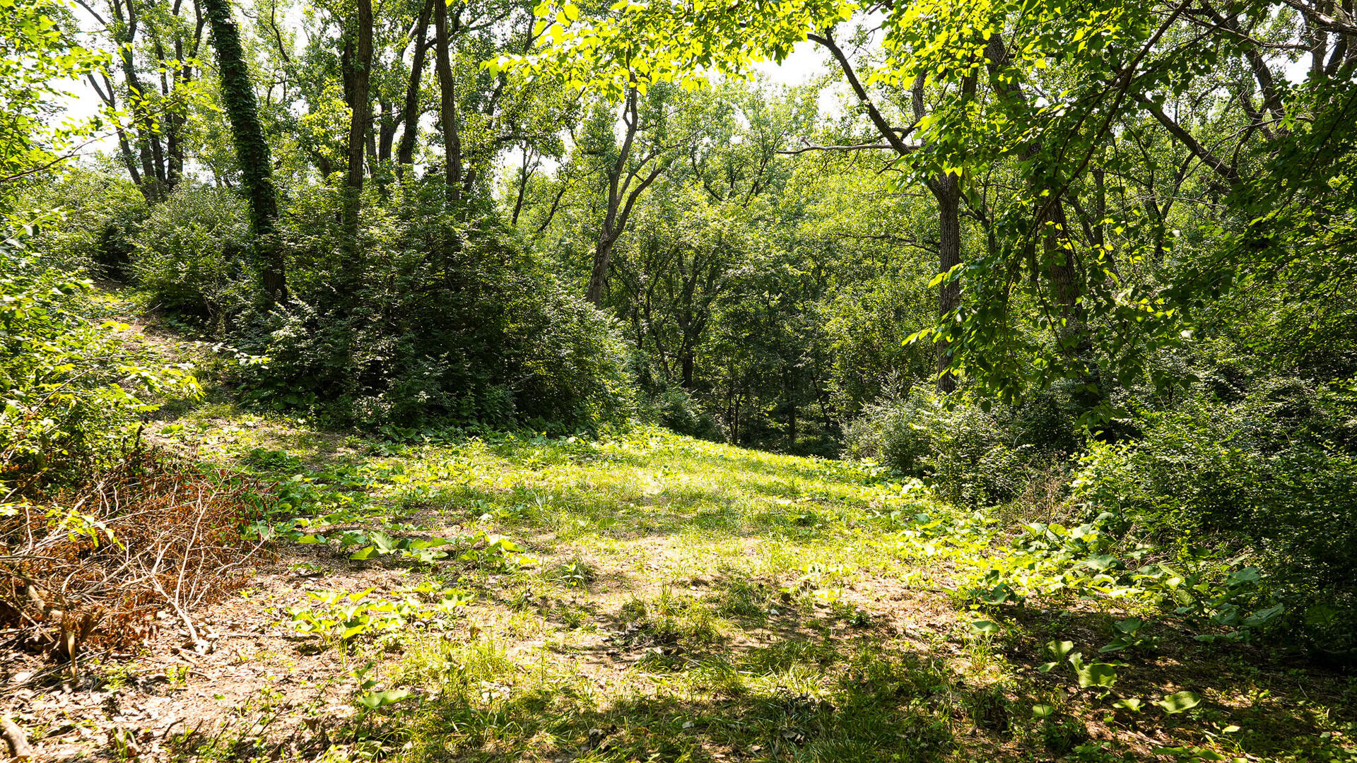 main property photo 54