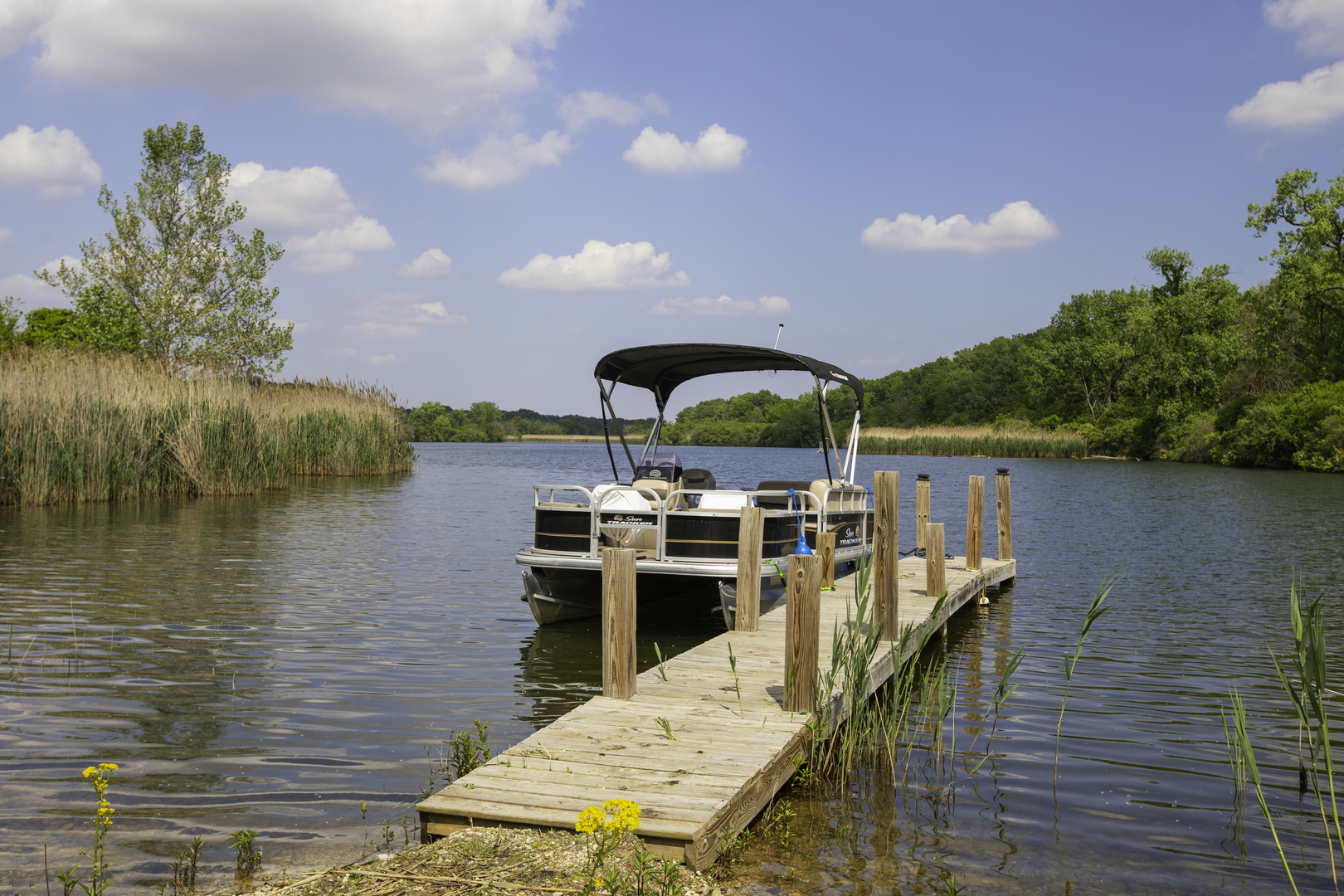 main property photo 26