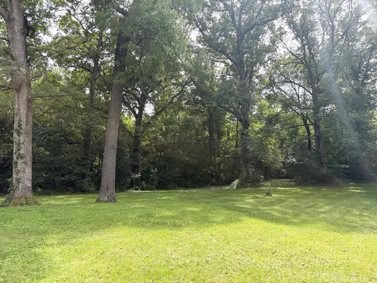 main property photo 52
