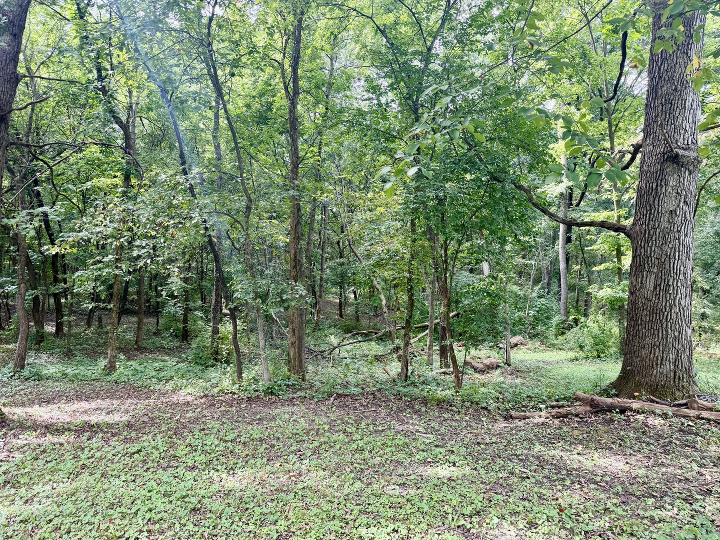 main property photo 54