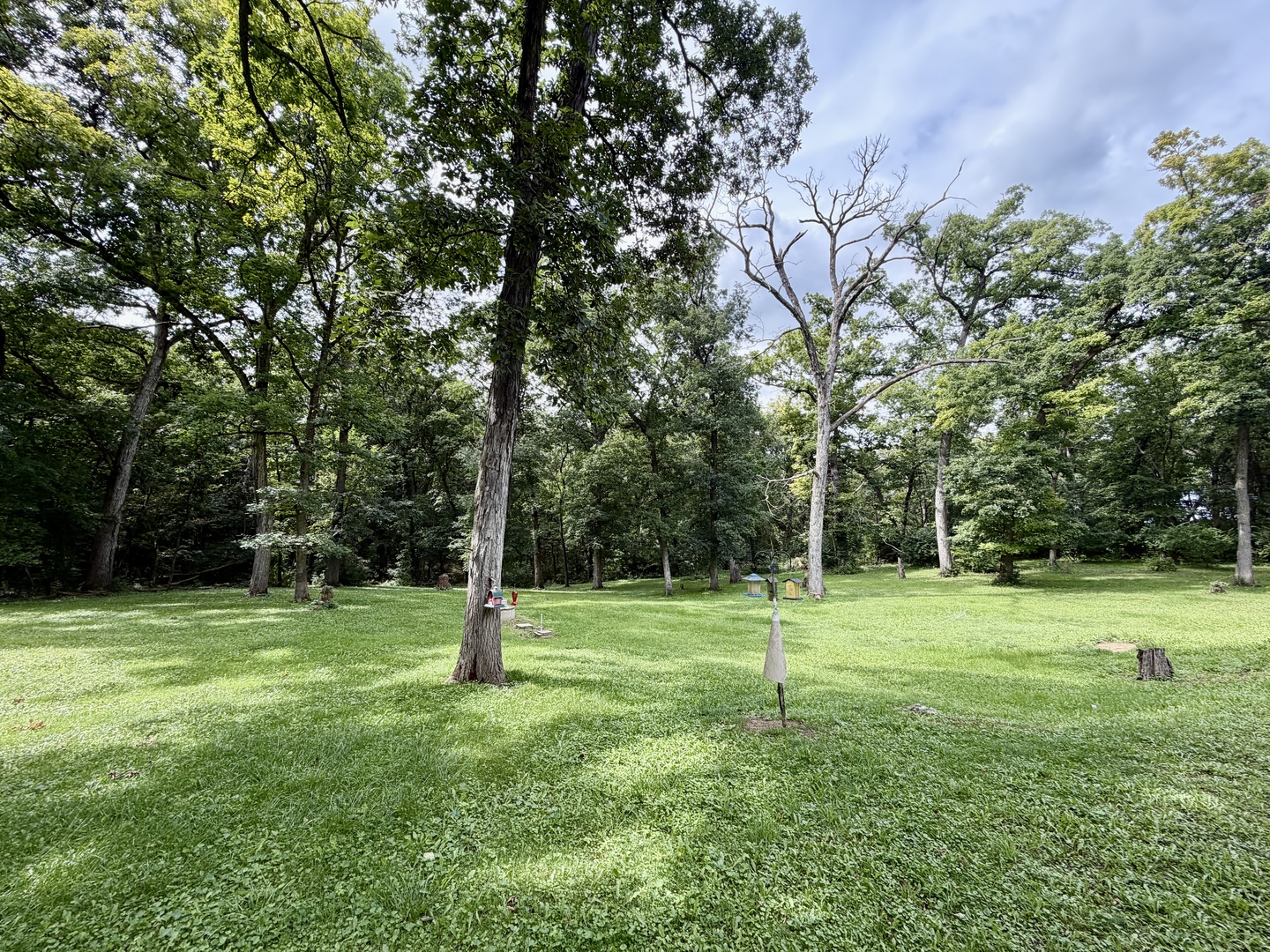 main property photo 61