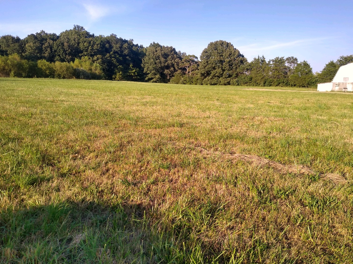 main property photo 10