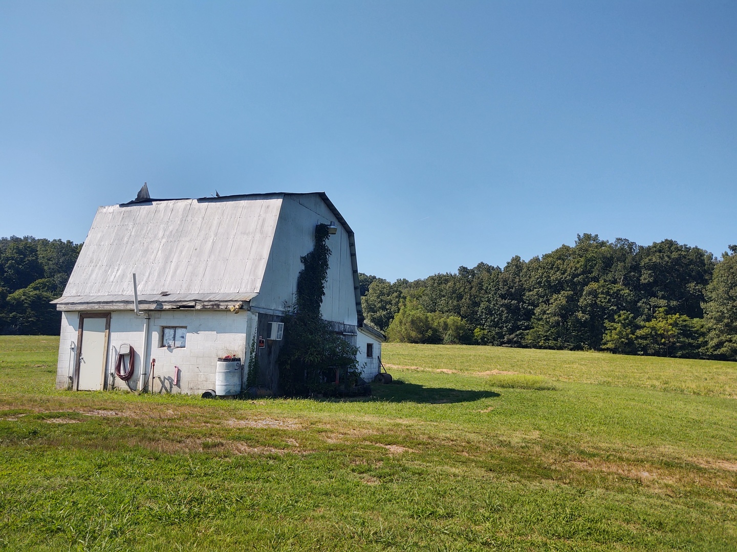 main property photo 4