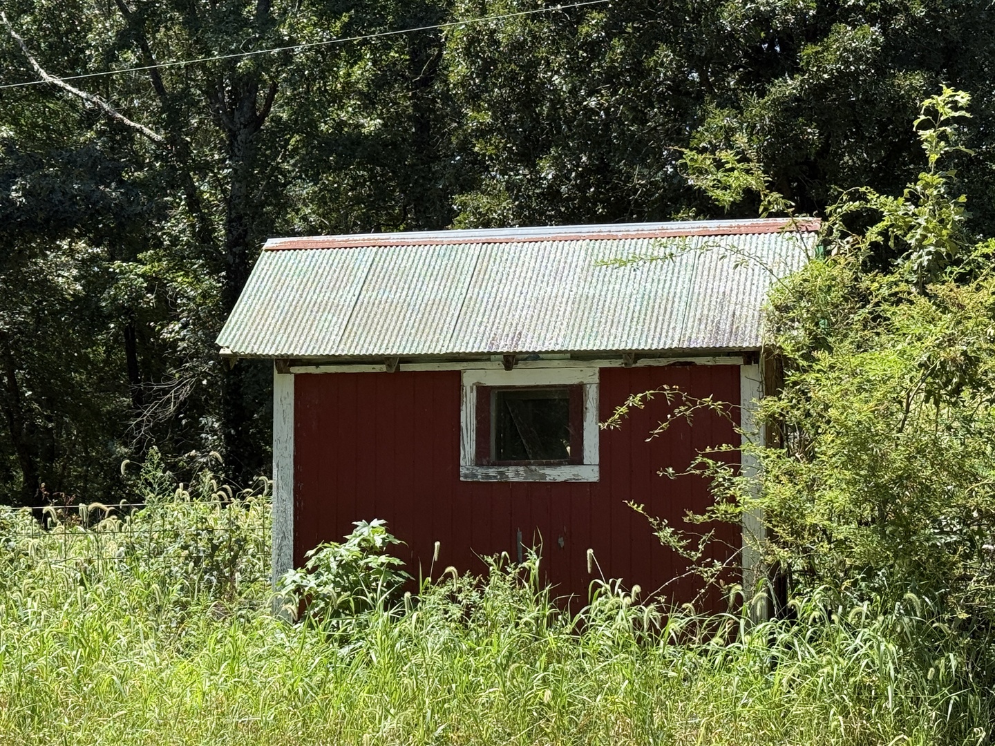 main property photo 42