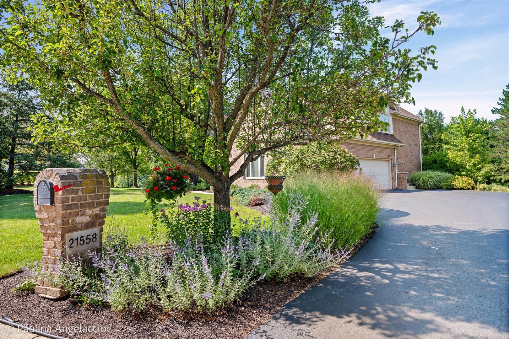 main property photo 53