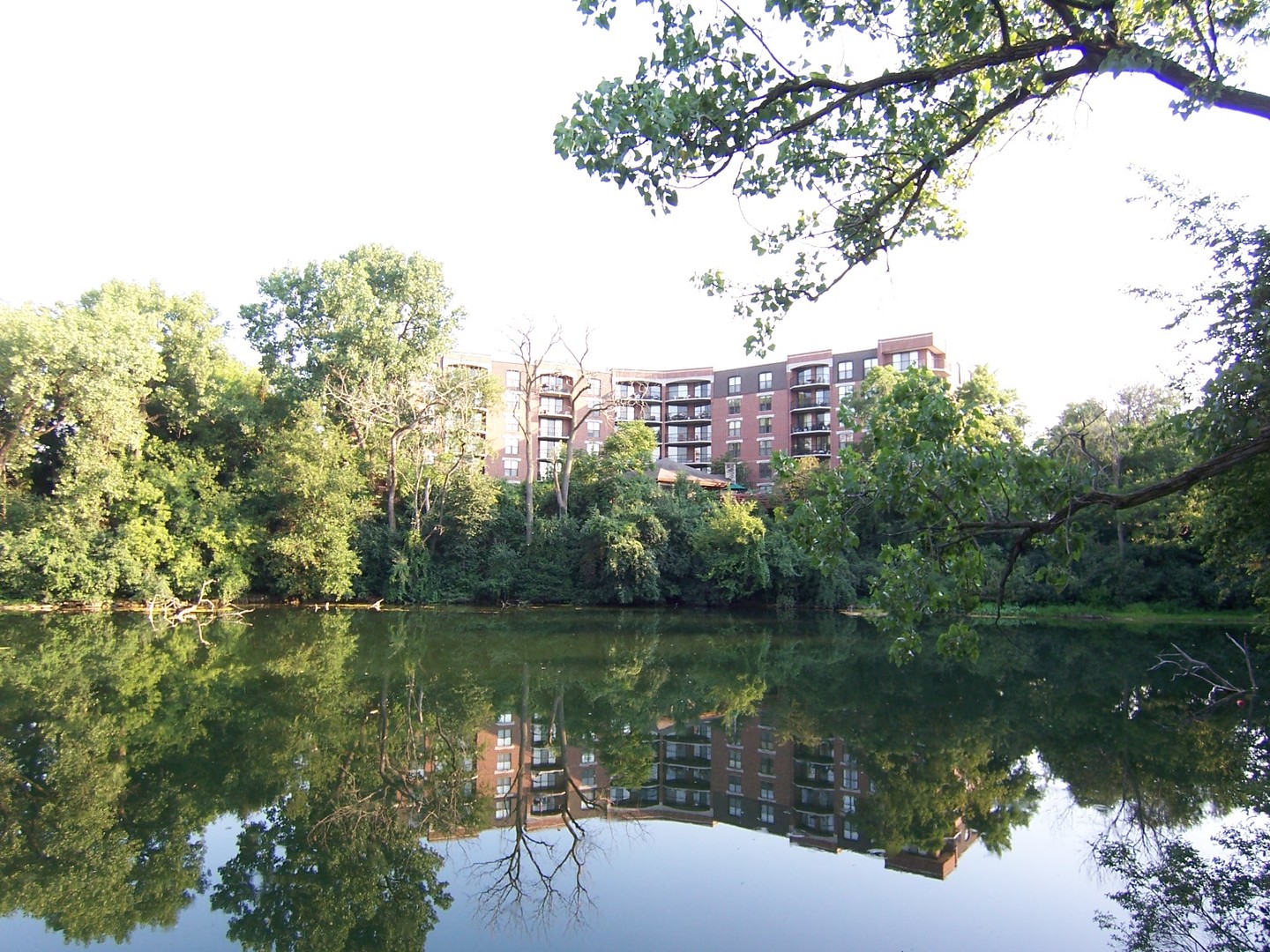 main property photo 26