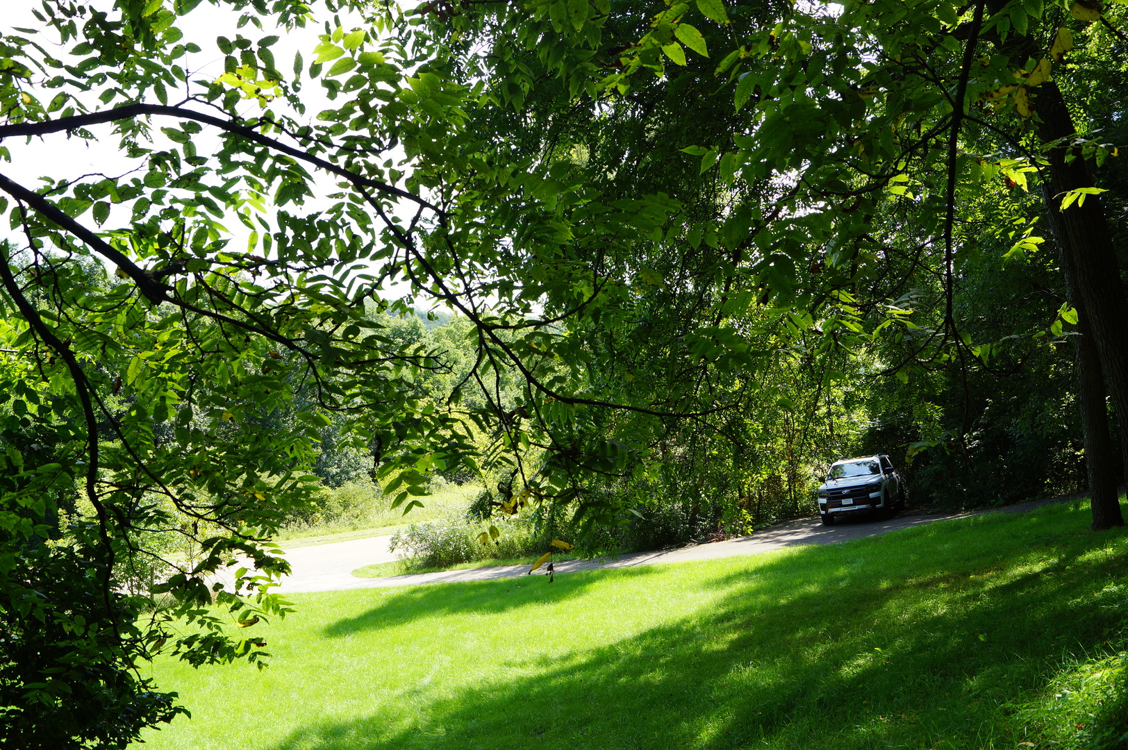 main property photo 5