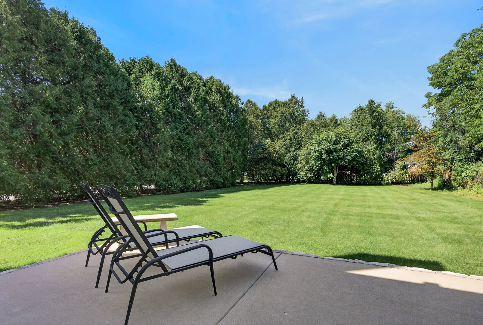 main property photo 42