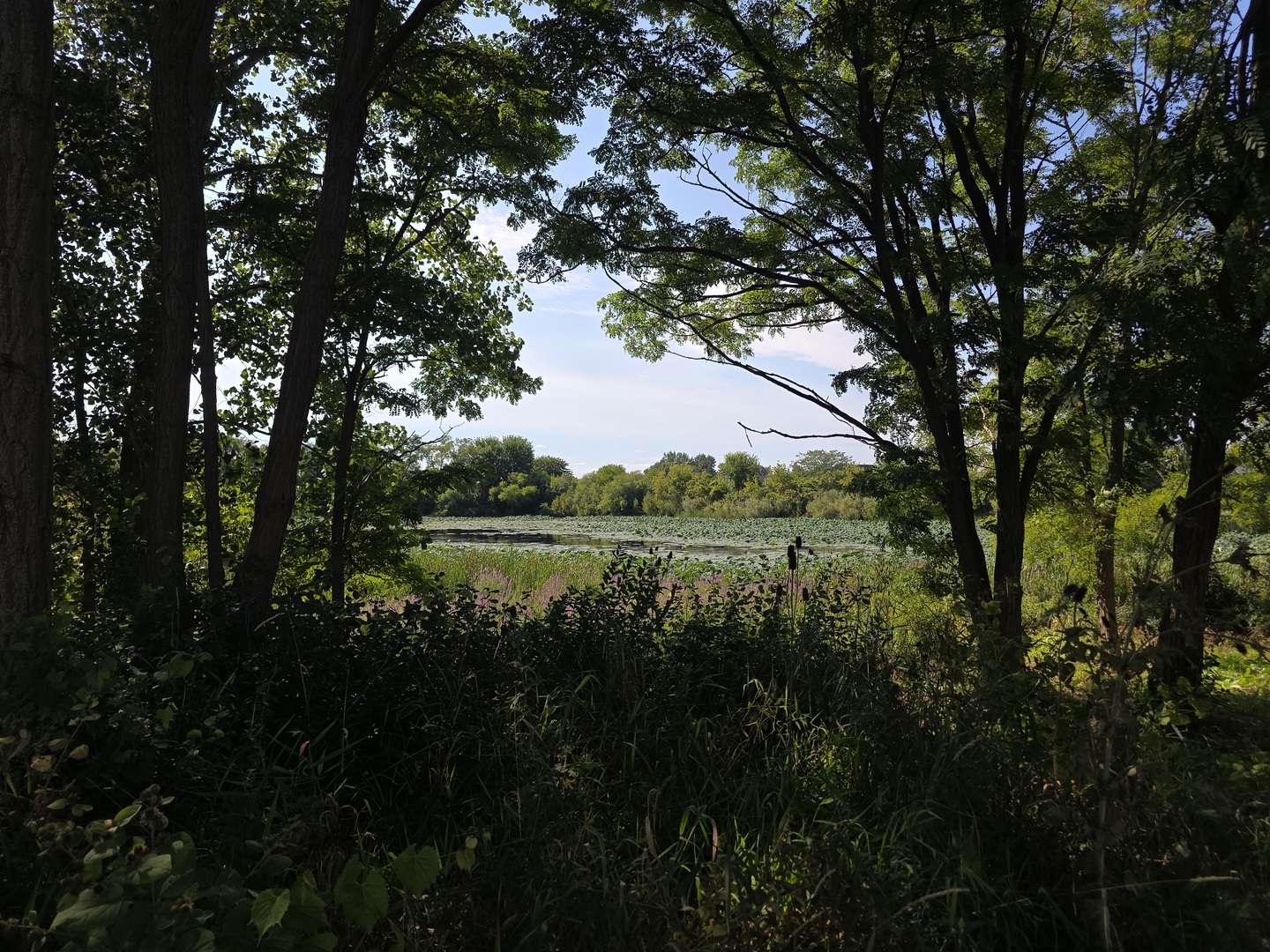 main property photo 34
