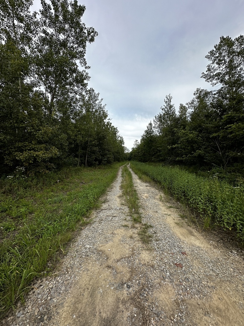 main property photo 13