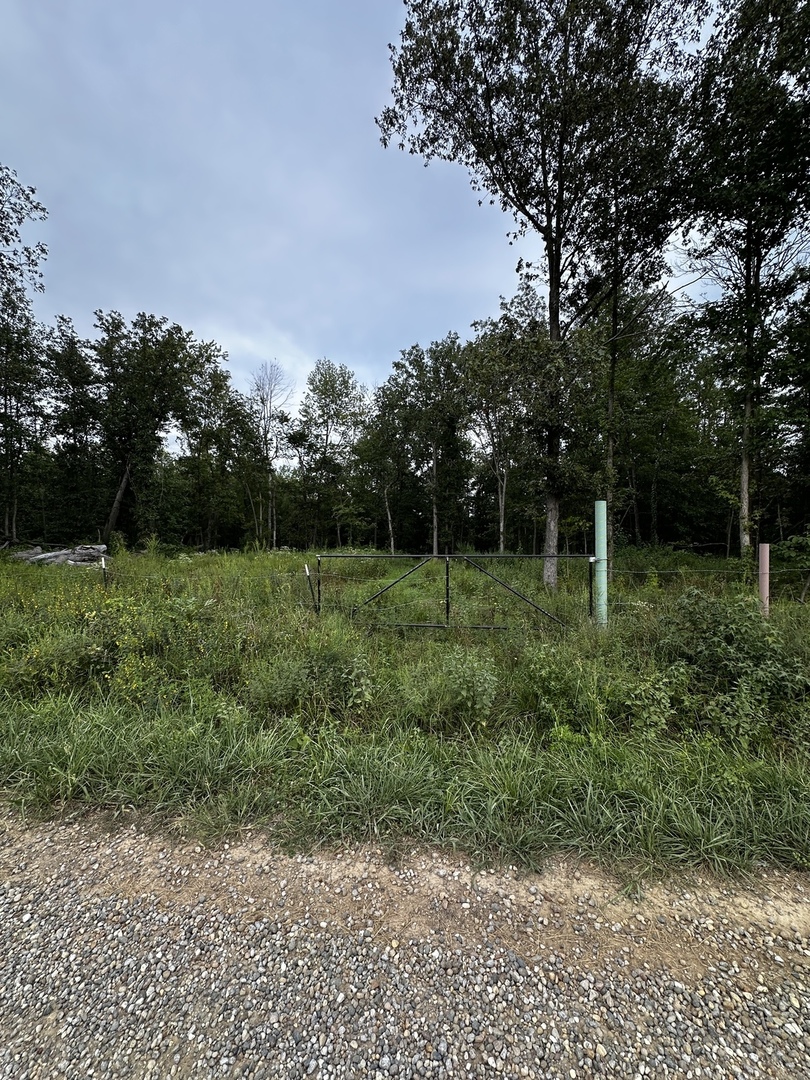 main property photo 14
