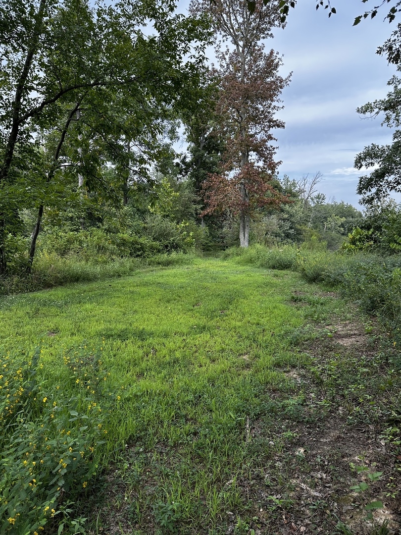 main property photo 17