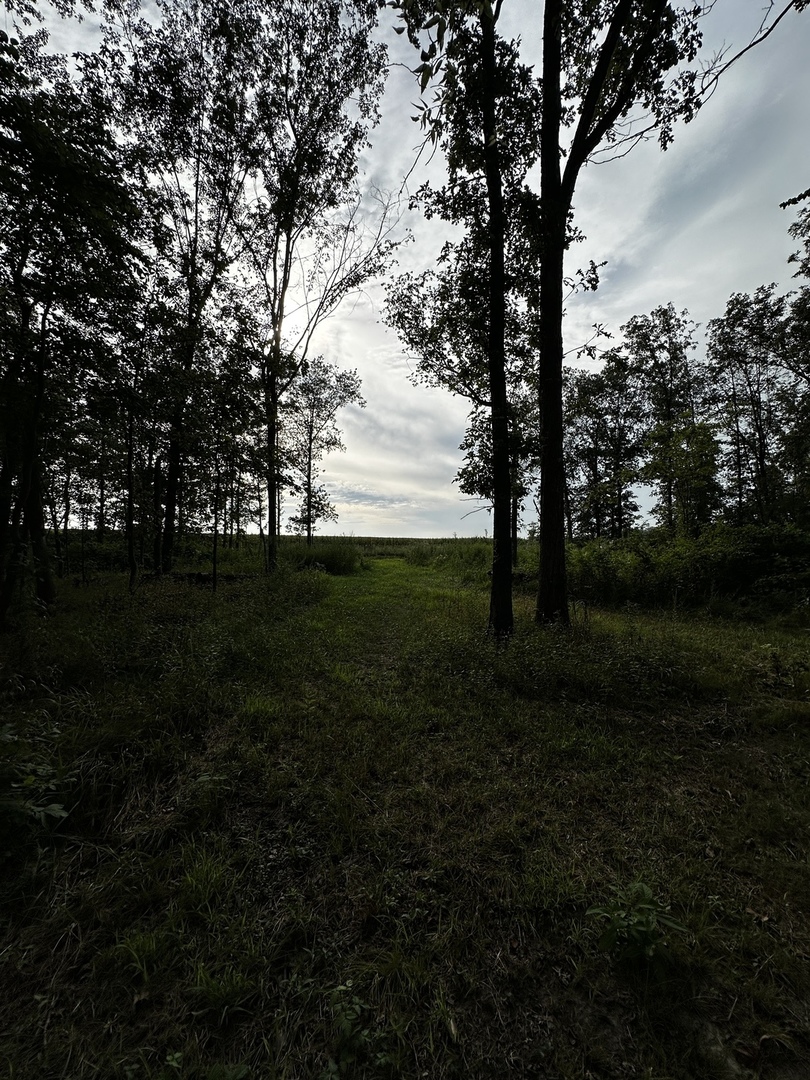 main property photo 29
