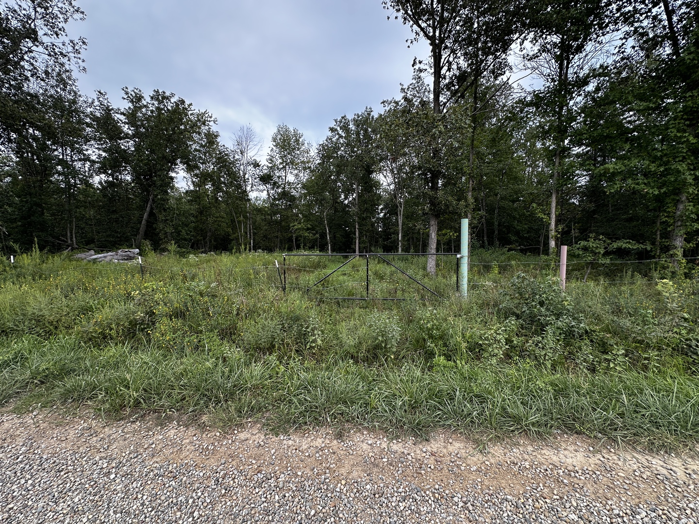 main property photo 4