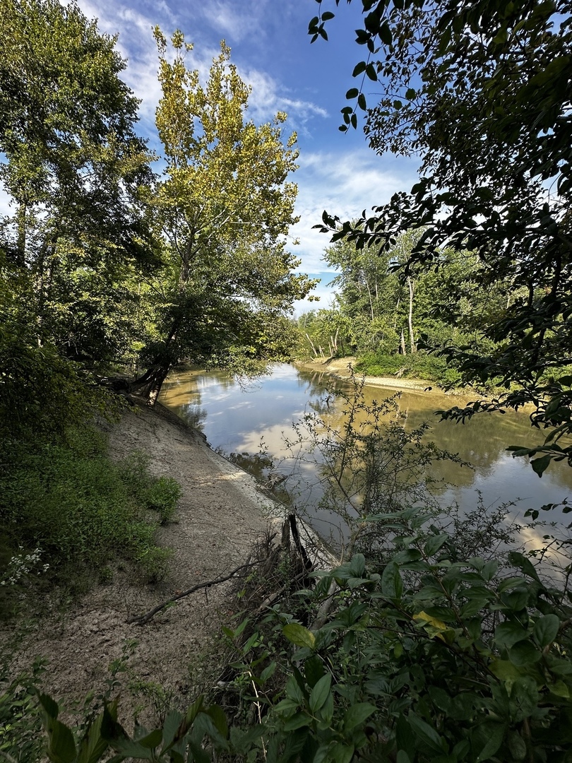 main property photo 42