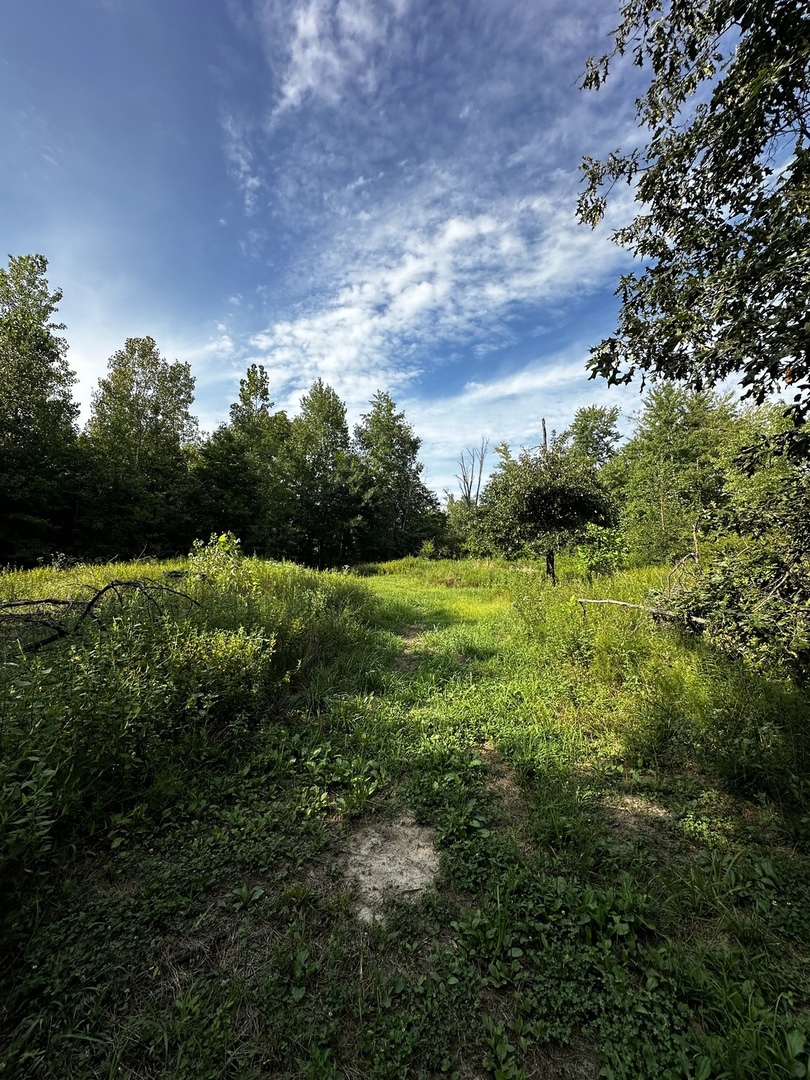 main property photo 43