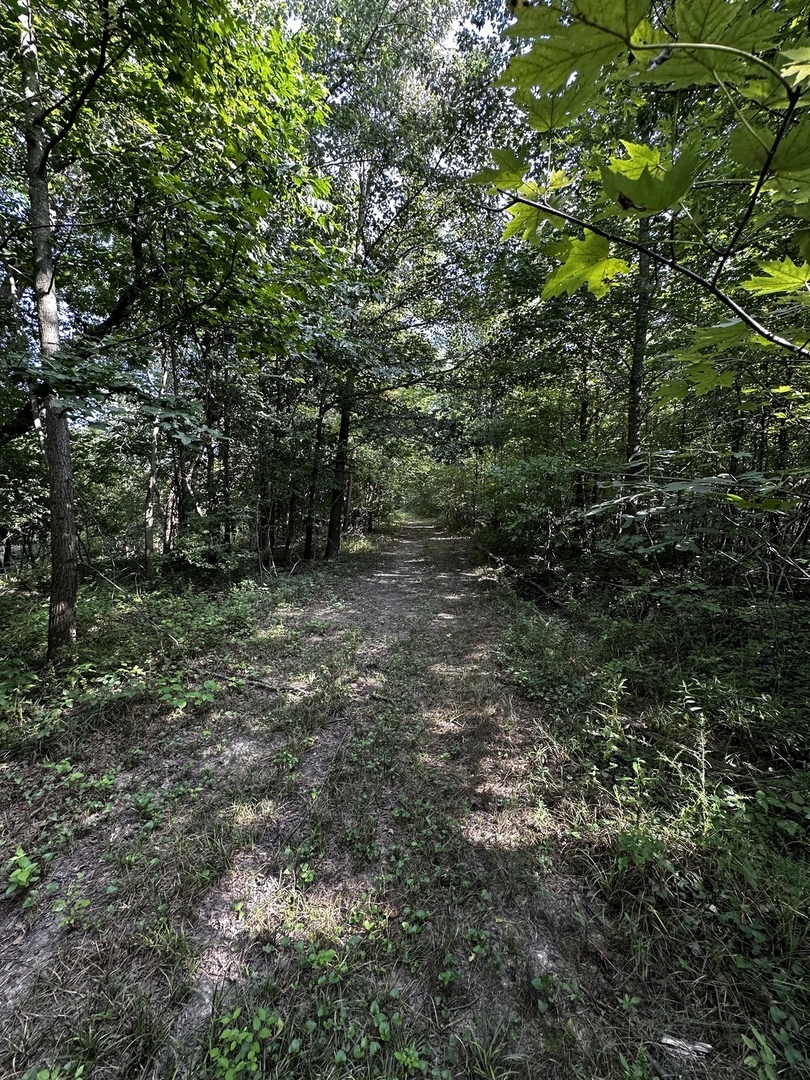 main property photo 45