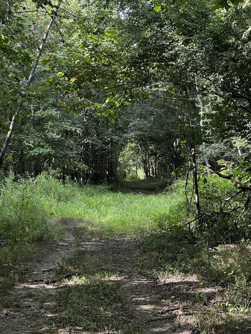 main property photo 46