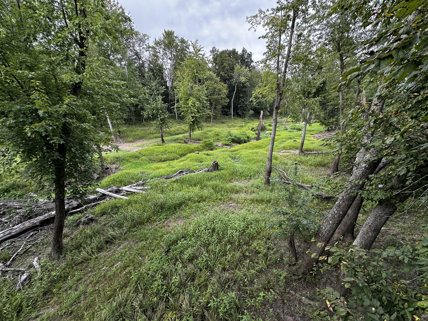 main property photo 5