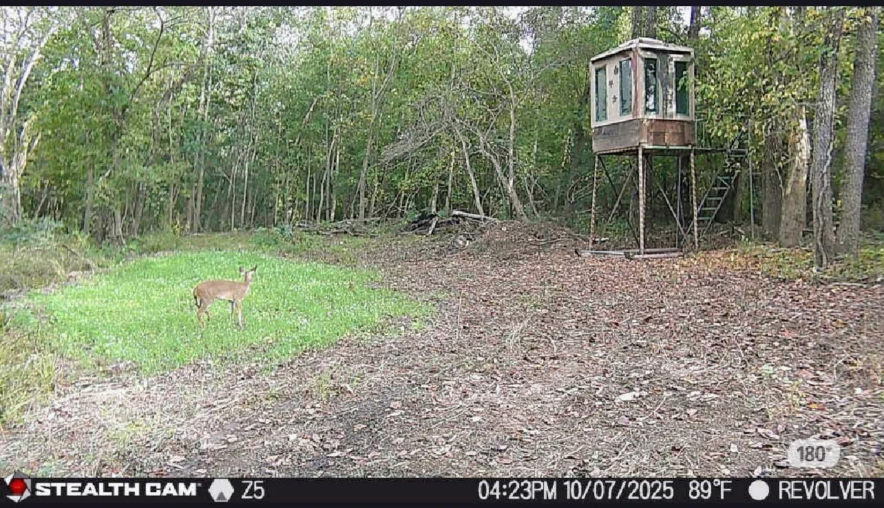 main property photo 50
