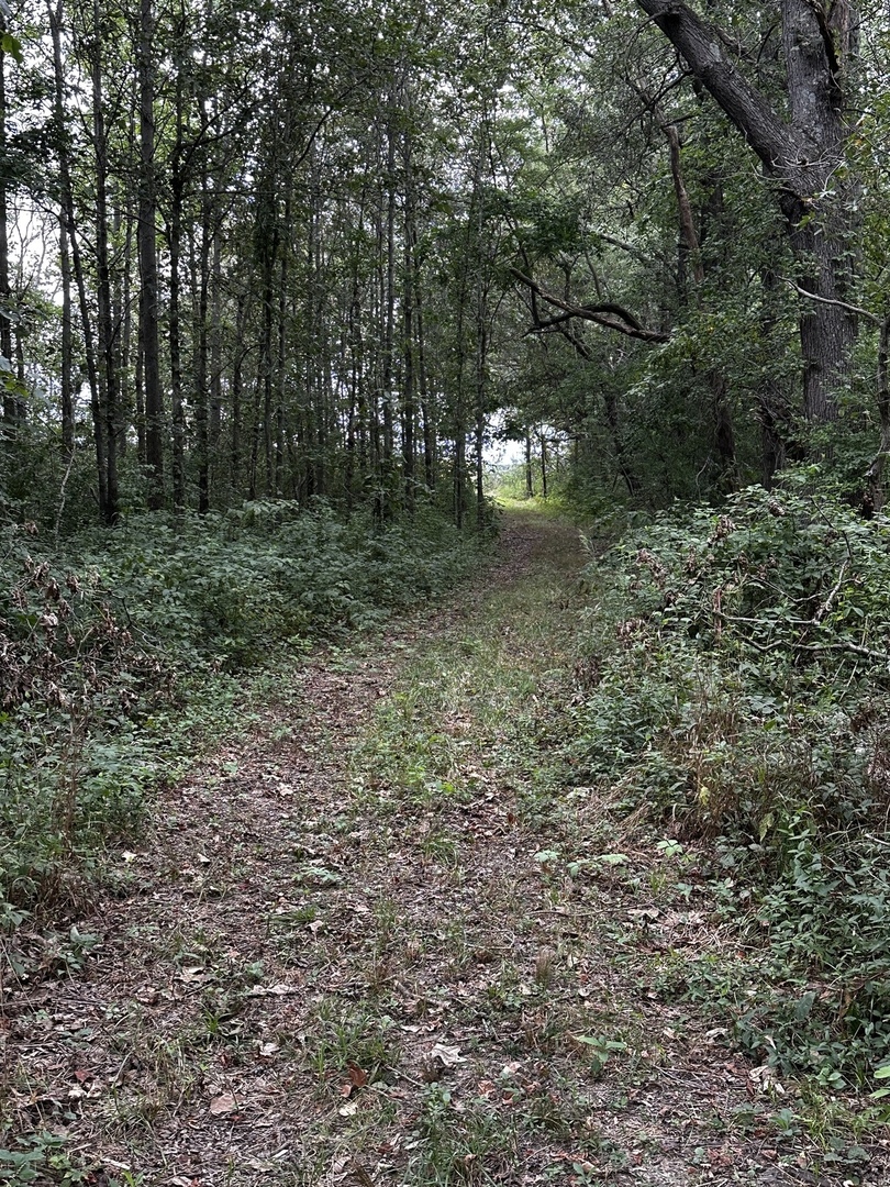 main property photo 6
