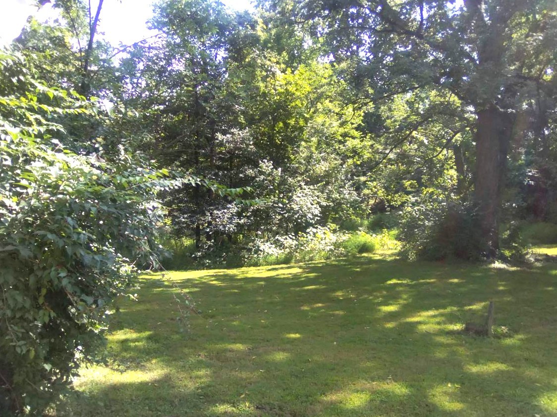 main property photo 43