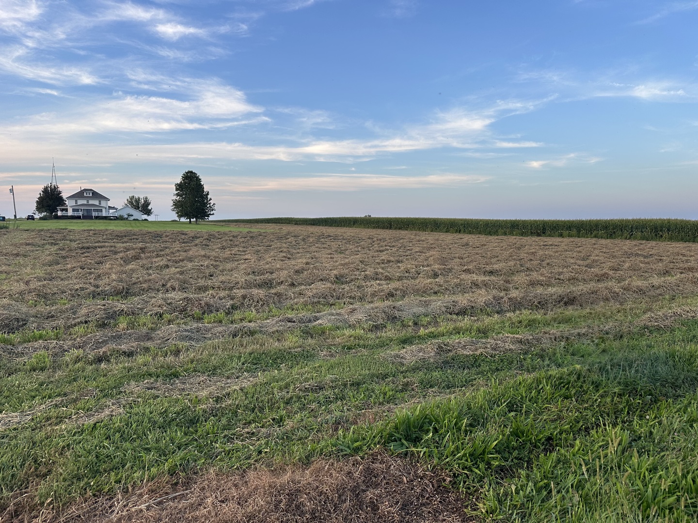 main property photo 0
