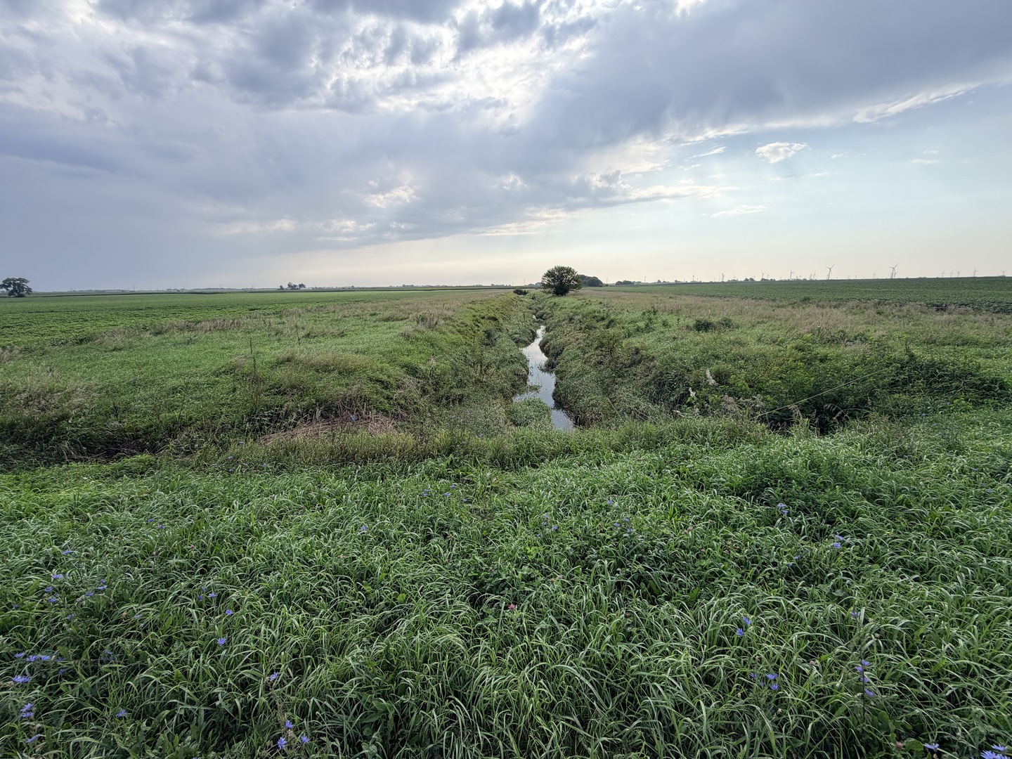 main property photo 35