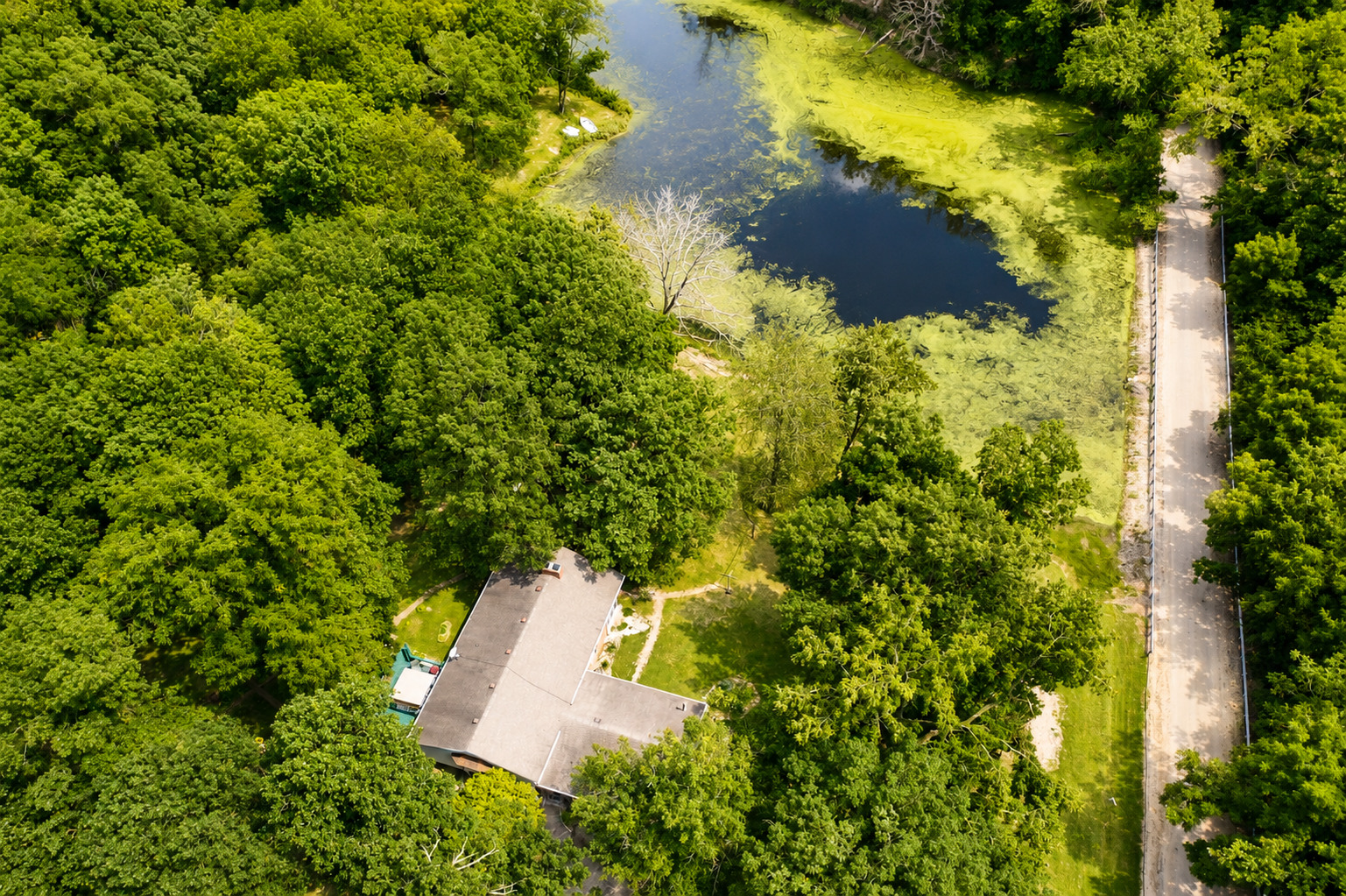 main property photo 57