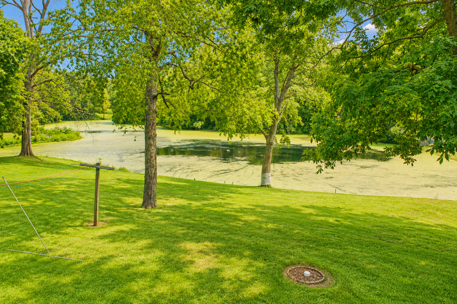 main property photo 61