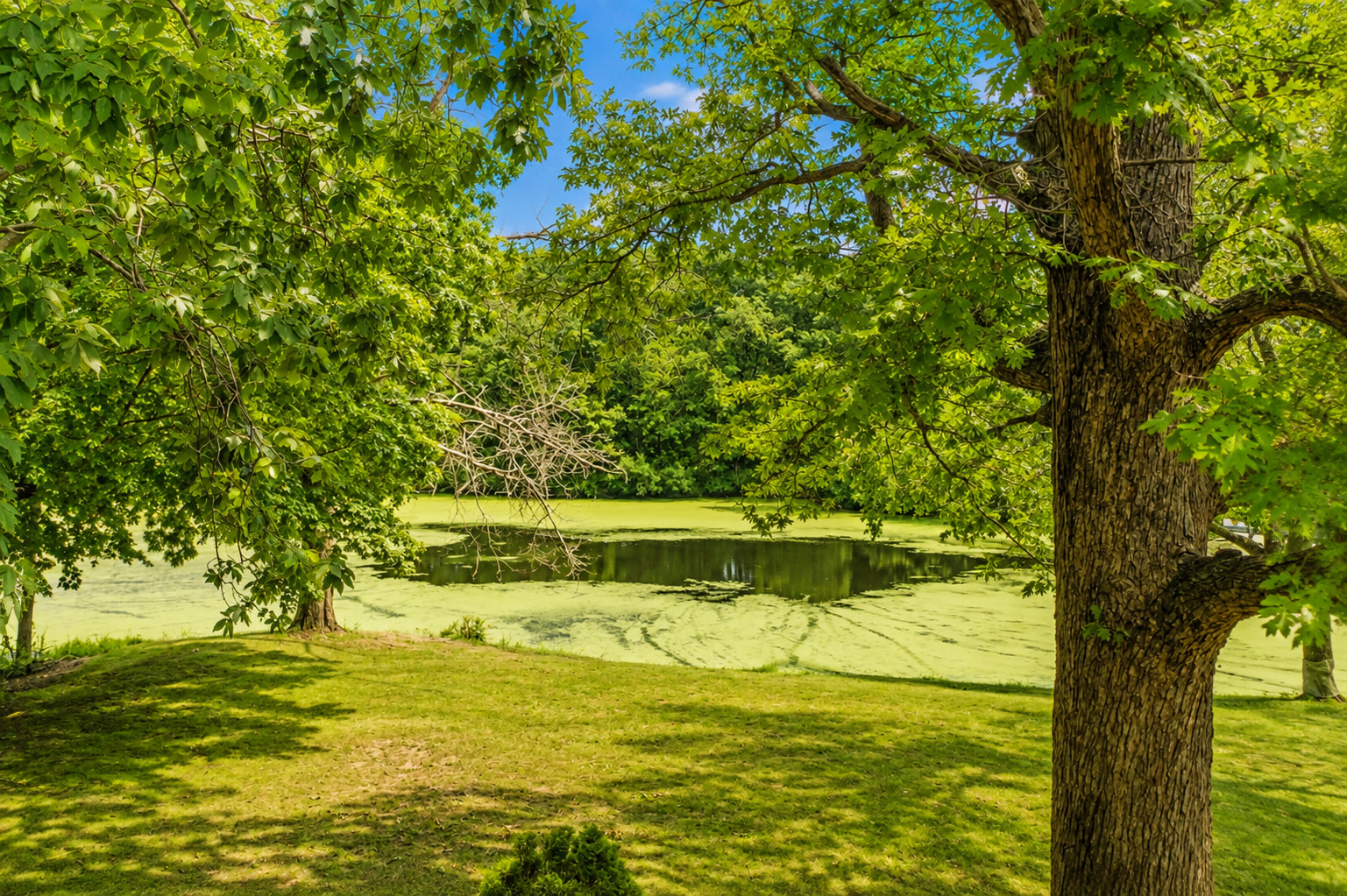 main property photo 62