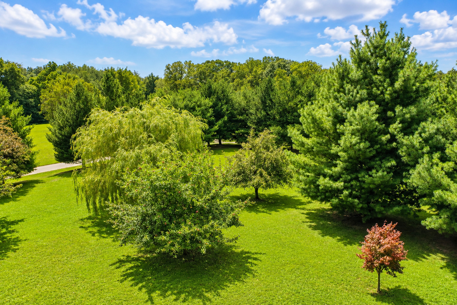 main property photo 63