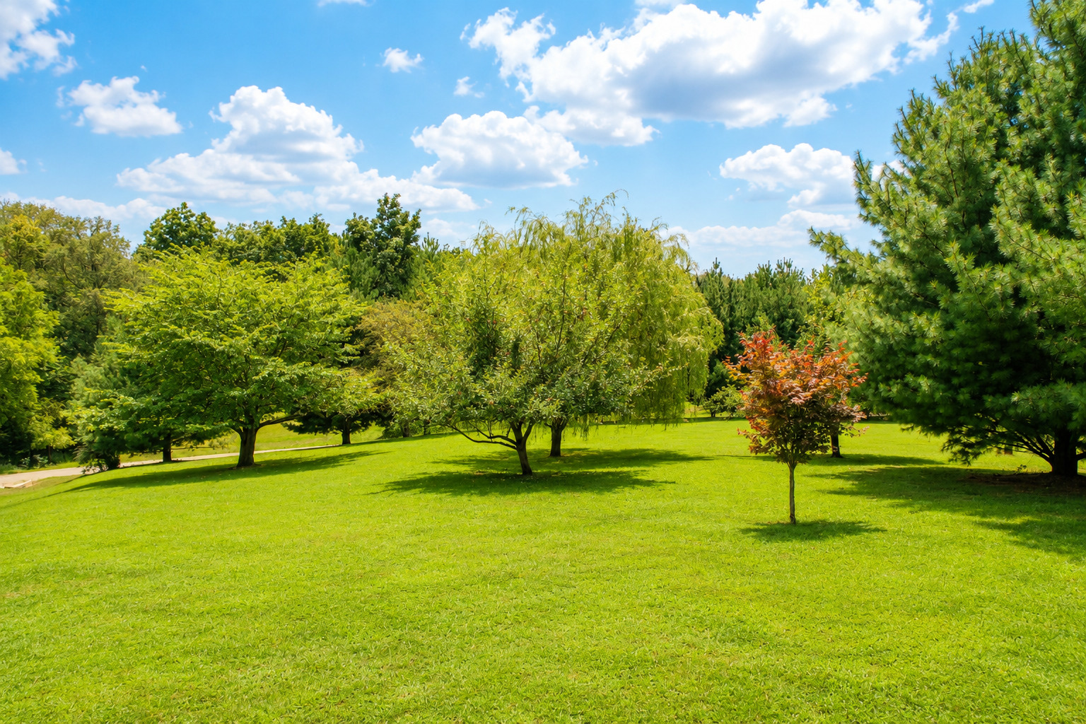 main property photo 64