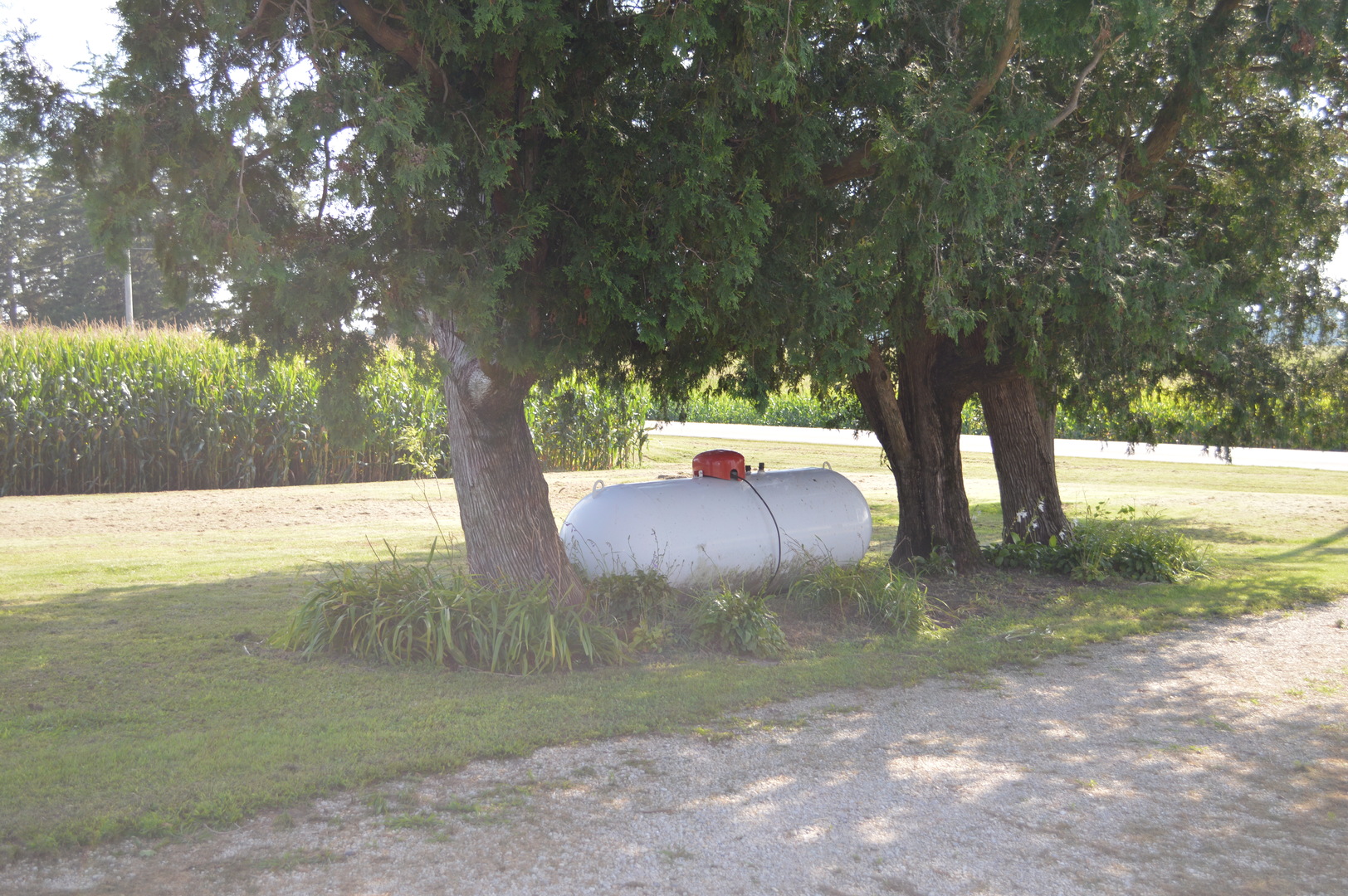 main property photo 12