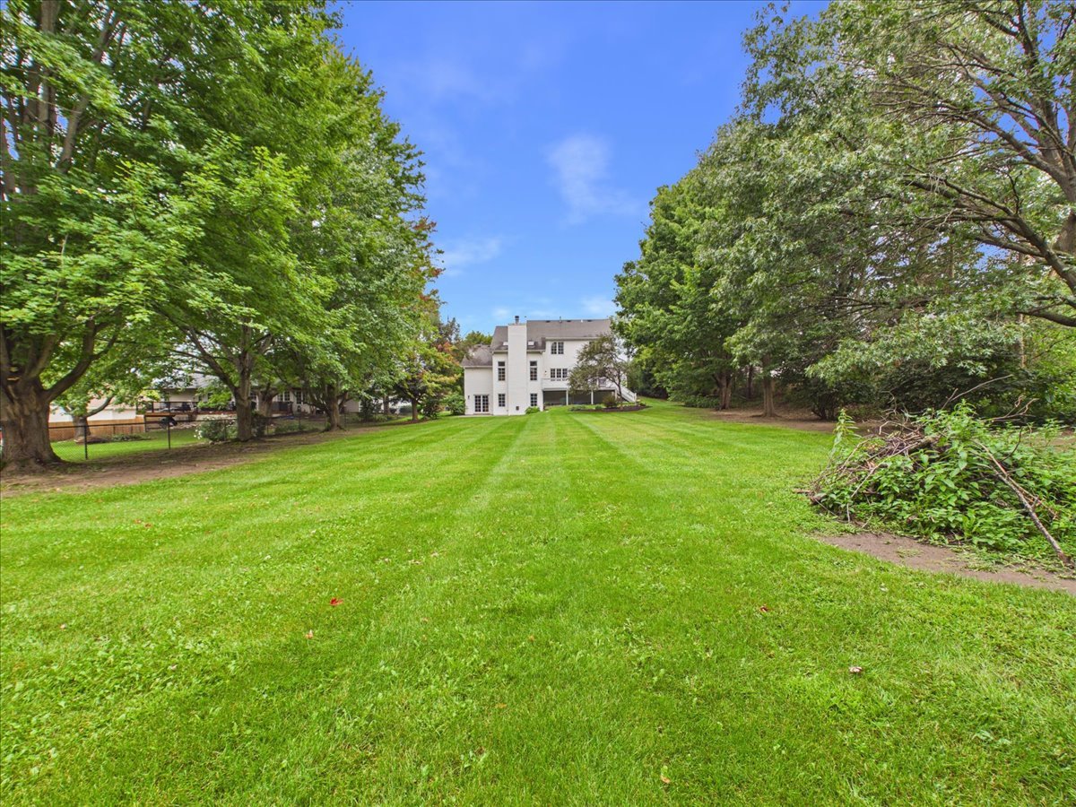 main property photo 61