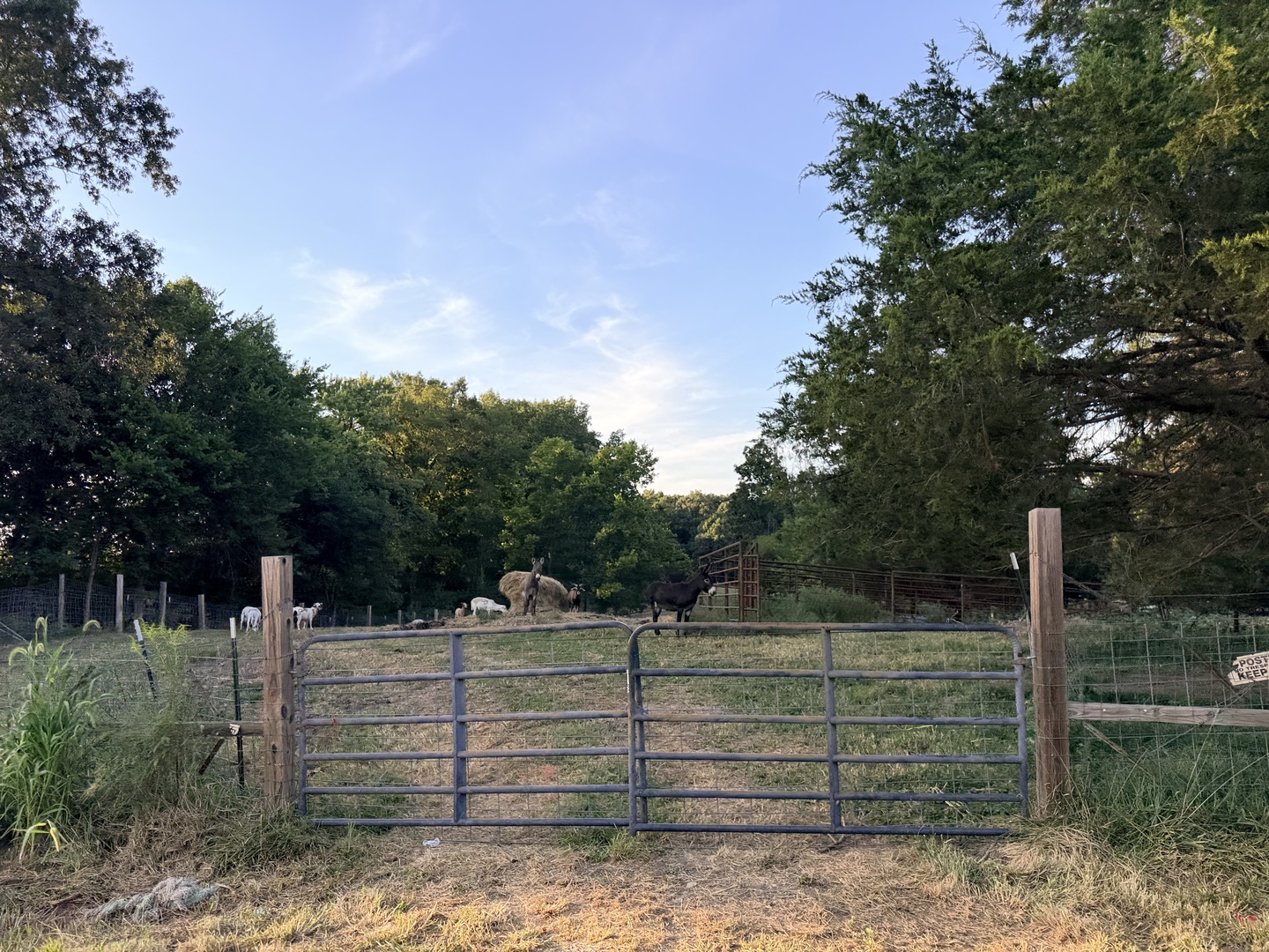 main property photo 33