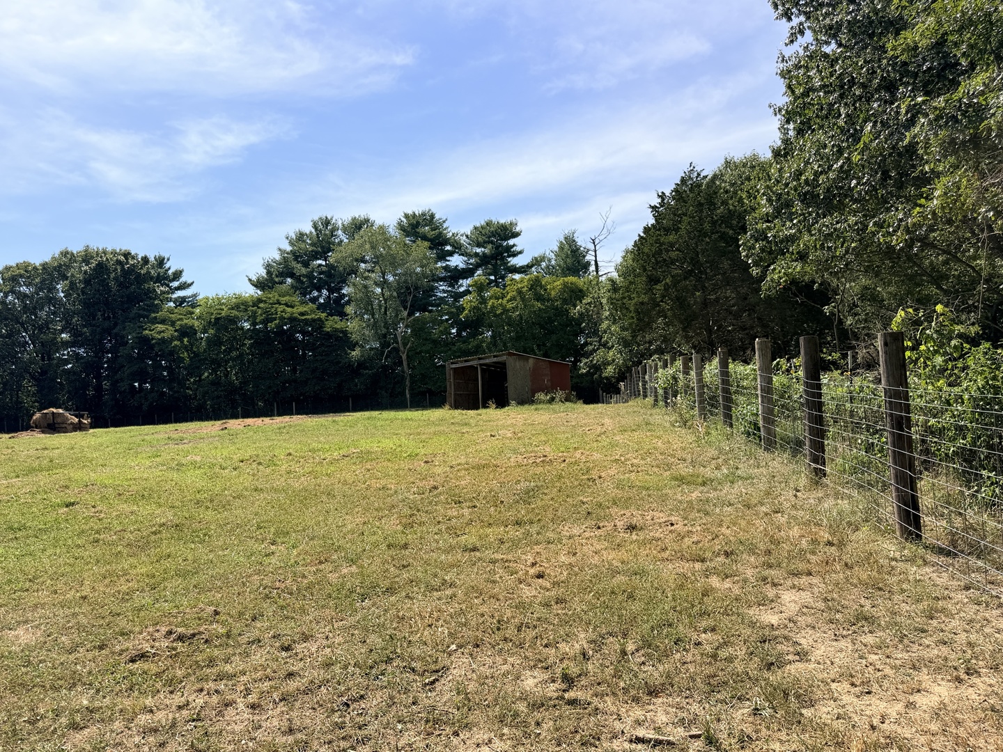 main property photo 53