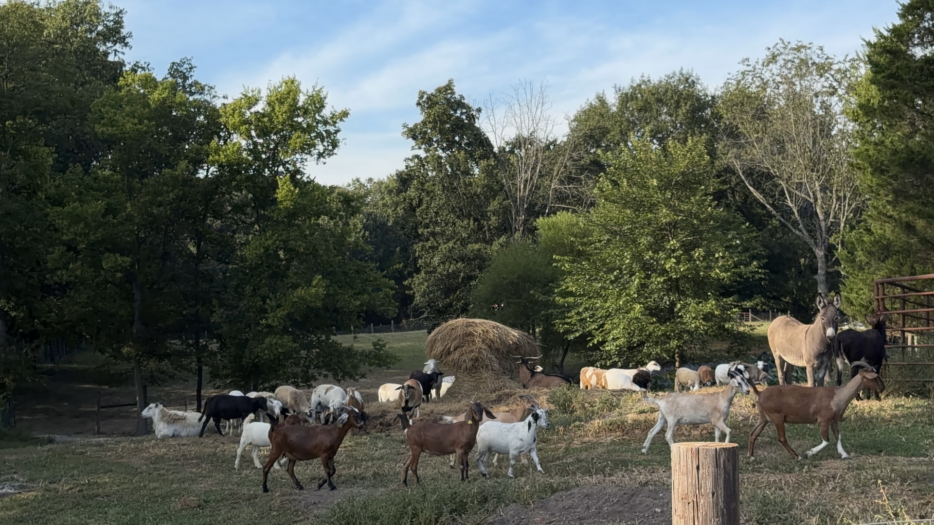 main property photo 56