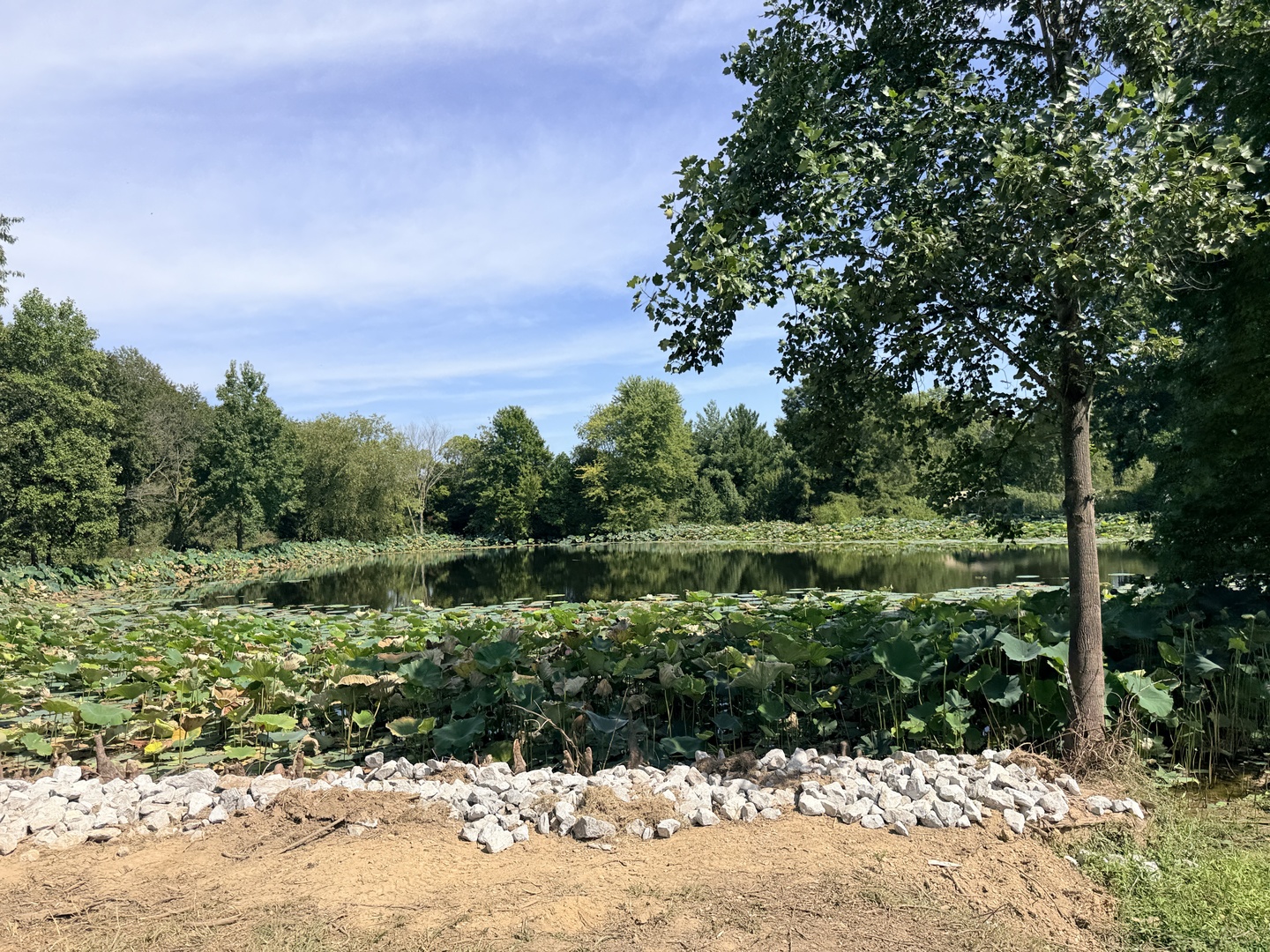 main property photo 57