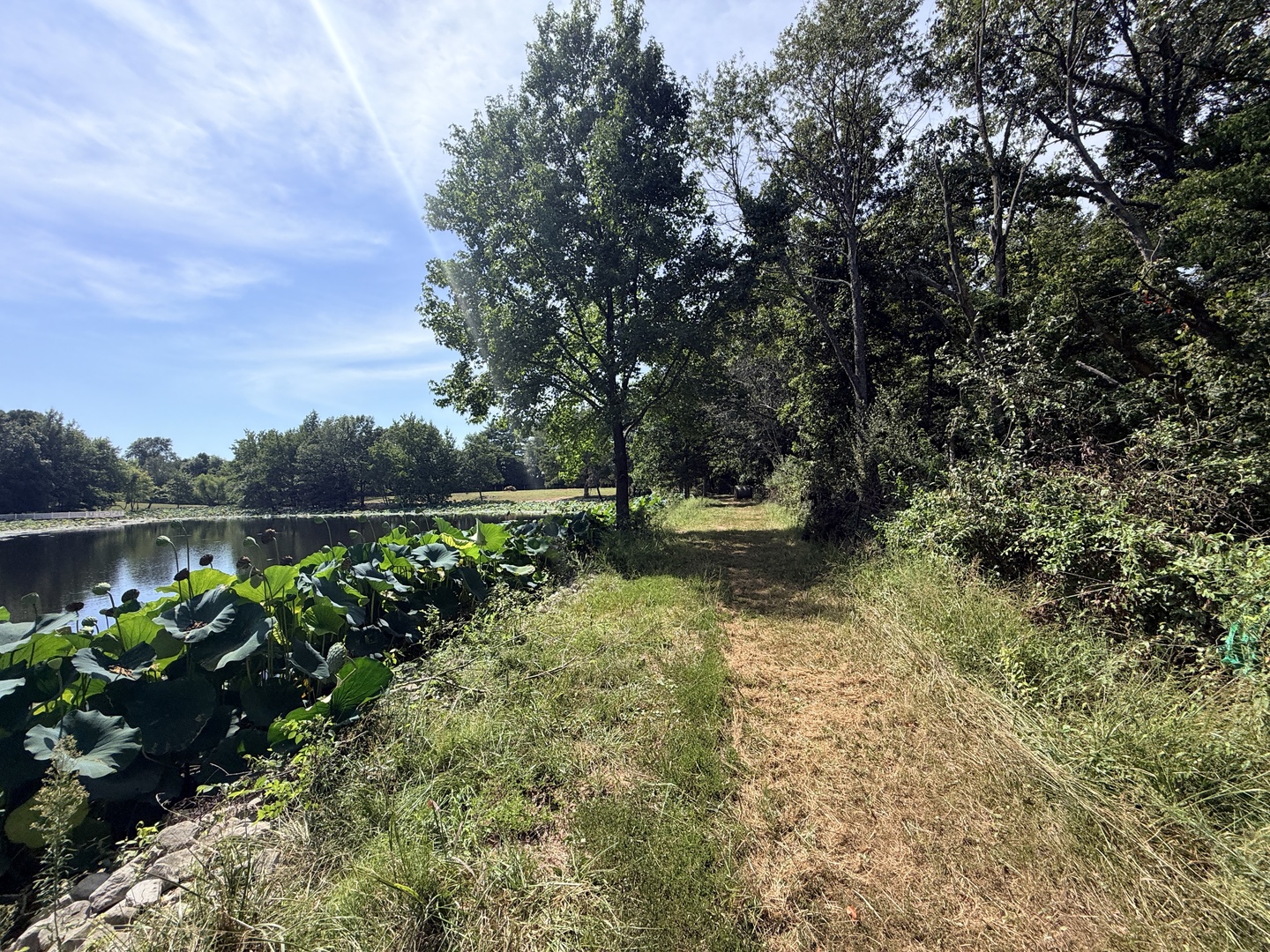 main property photo 60