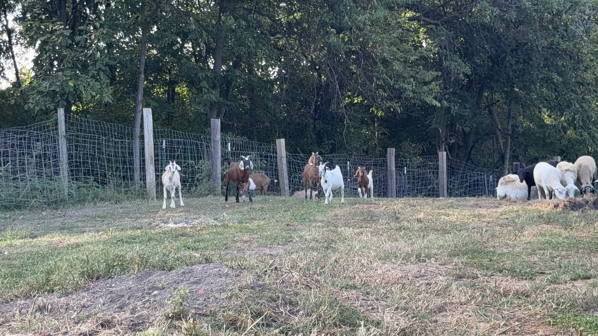 main property photo 66