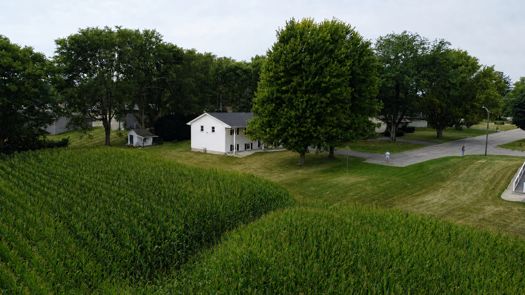 main property photo 42